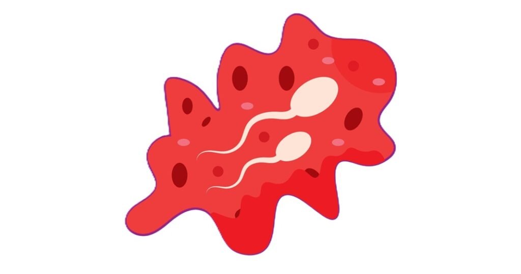 What Does Blood Mean in Semen?