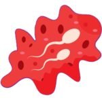 What Does Blood Mean in Semen?