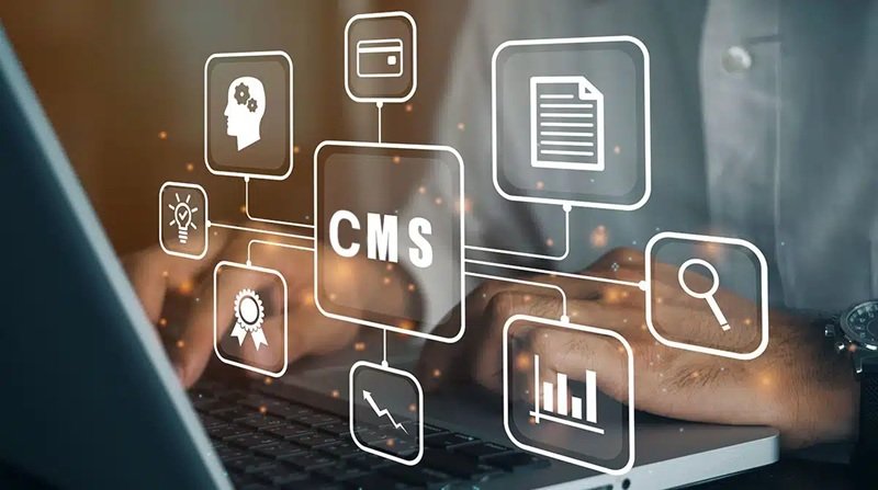 How Headless CMS Future-Proofs Your Digital Ecosystem