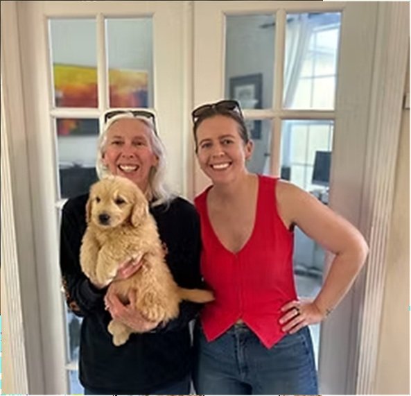 Healthy F1 Goldendoodle Puppy