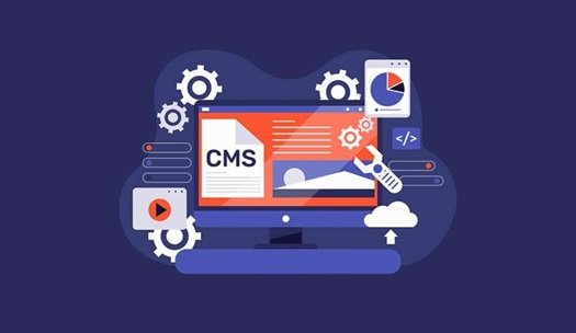 How Headless CMS
